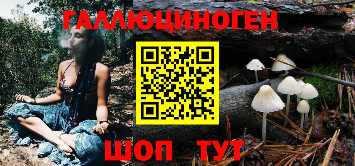 Псилоцибиновые грибы MAGIC MUSHROOMS Ирбит