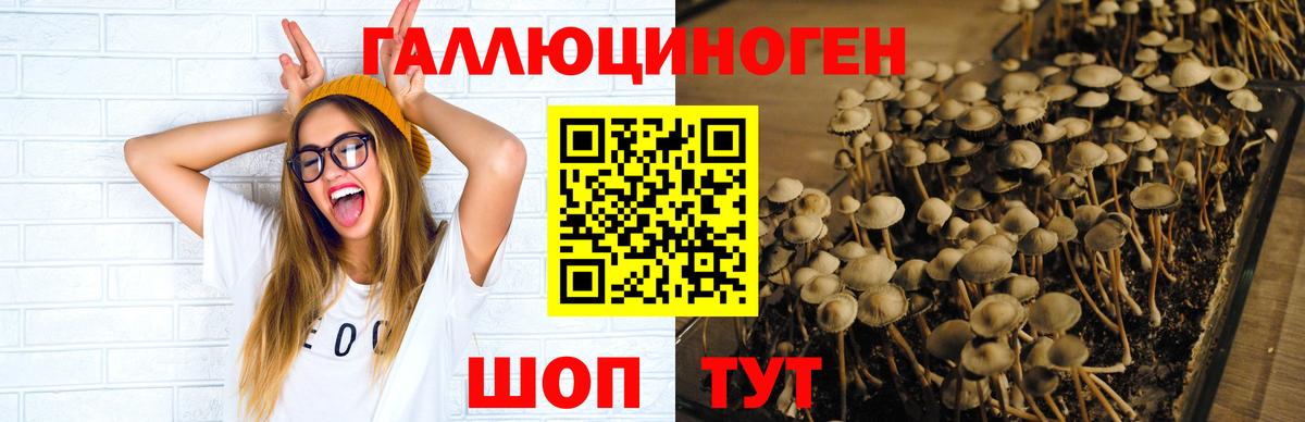 Ирбит  Псилоцибиновые грибы Psilocybine cubensis  Вход с VPN  Псилоцибиновые грибы мухоморы 